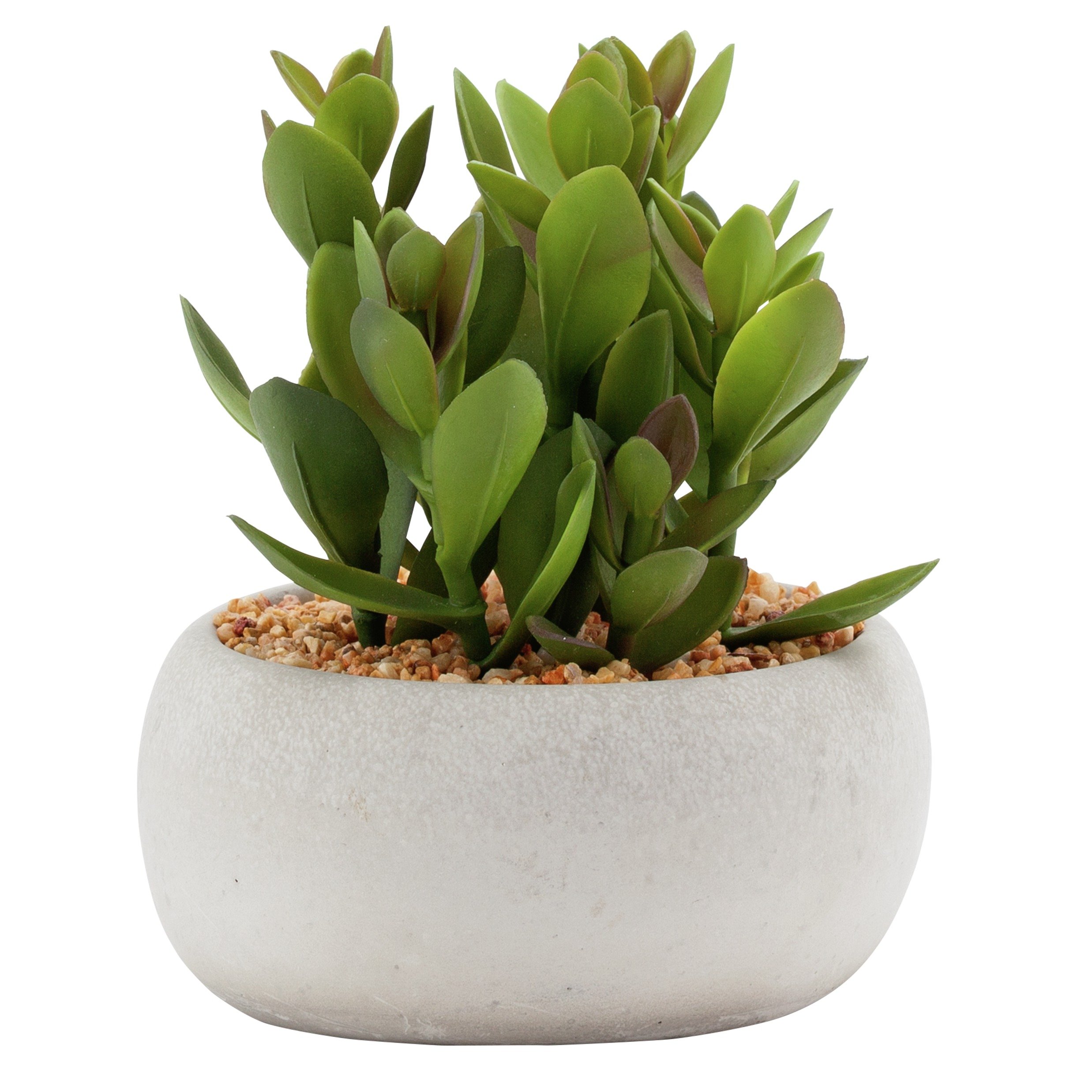 Review of Sainsbury's Home Artificial Cement Potted Succulent