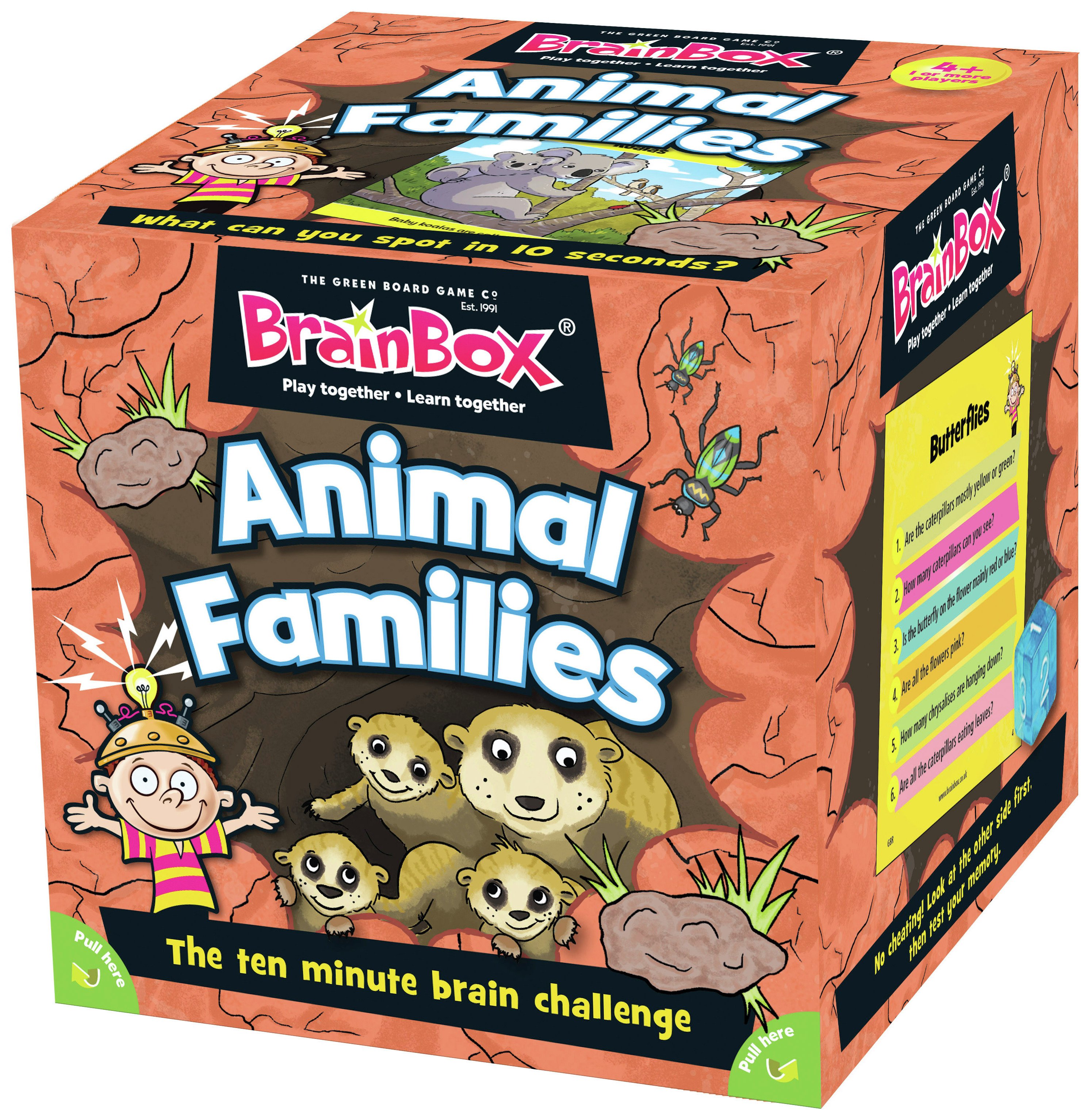 Brainbox Animal Families Game. review