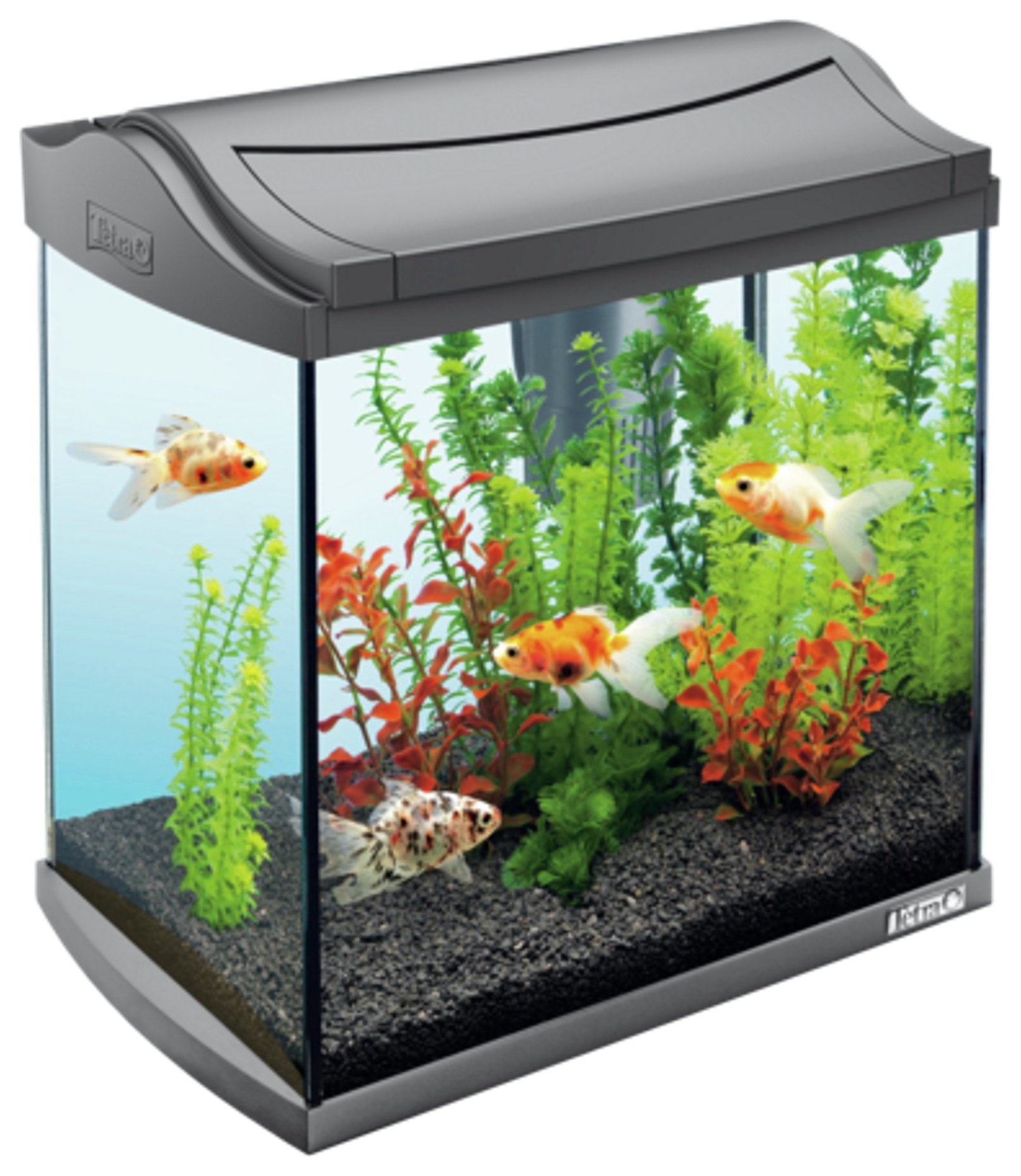 Tetra Fish Tank AquaArt II Graphite 30L Review