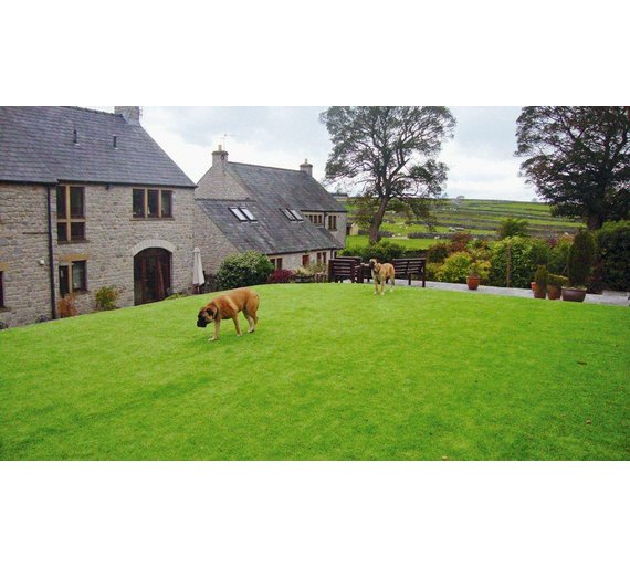 Buy Leisure Artificial Grass 2 x 1 Metre at Argos.co.uk Your Online