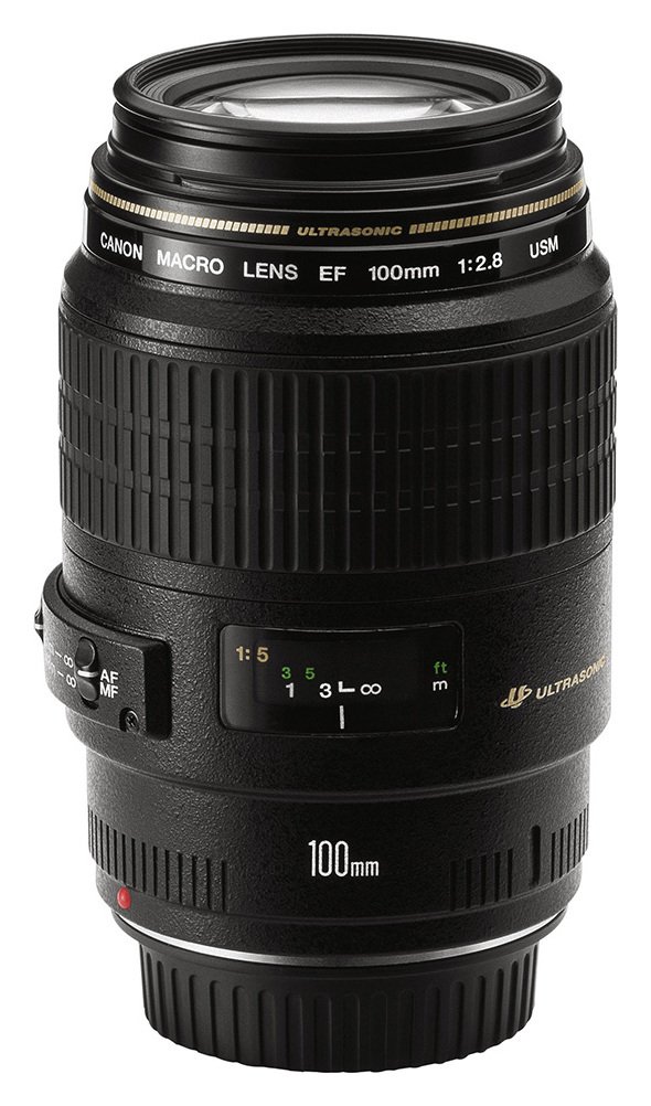 Canon EF 100mm f/2.8 Macro USM Lens Review