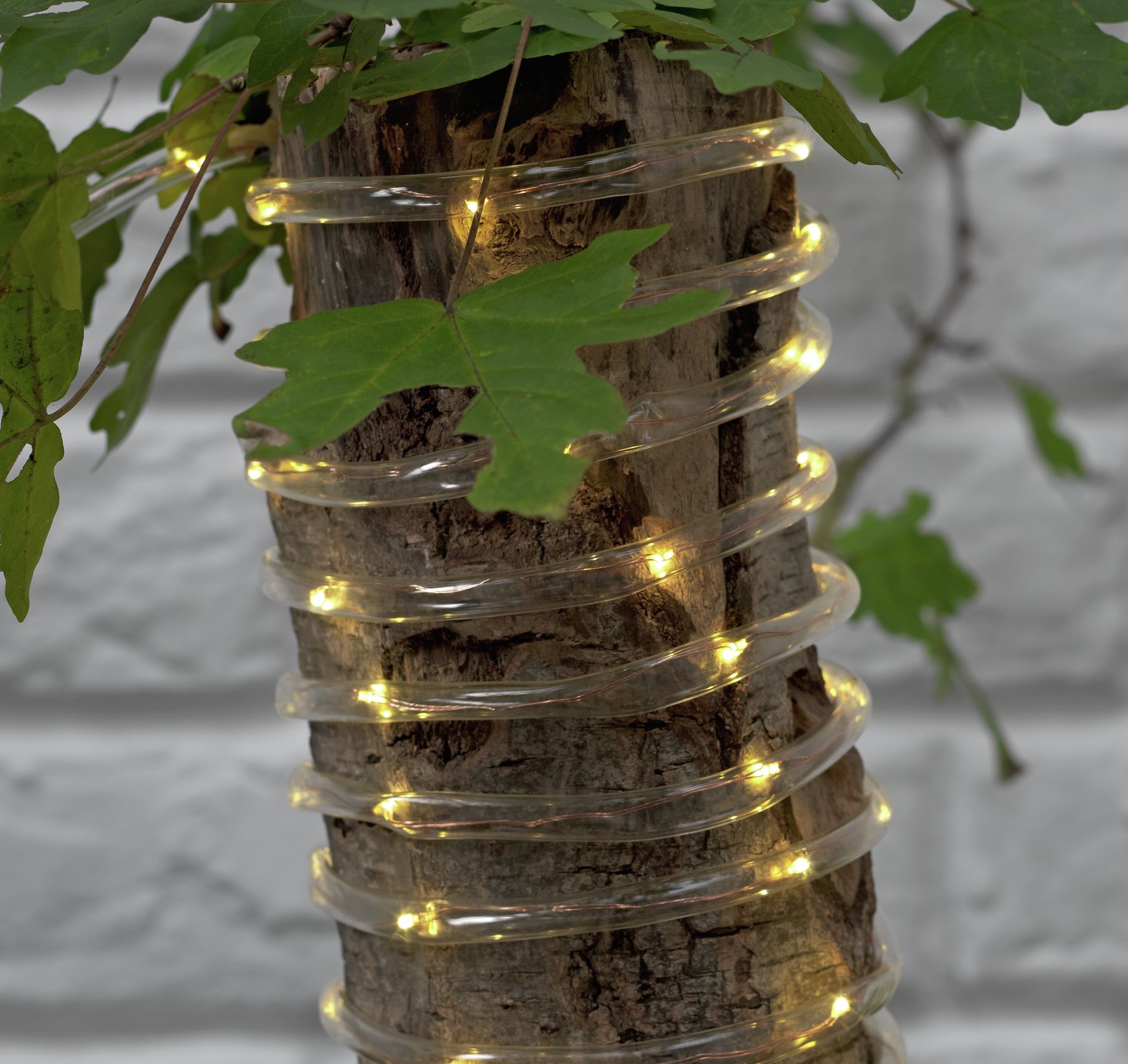 HOME Set of 100 Solar LED Tube Copper String Lights Review