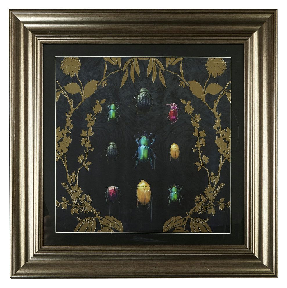 Arthouse Alchemy Bugs Framed Print Review