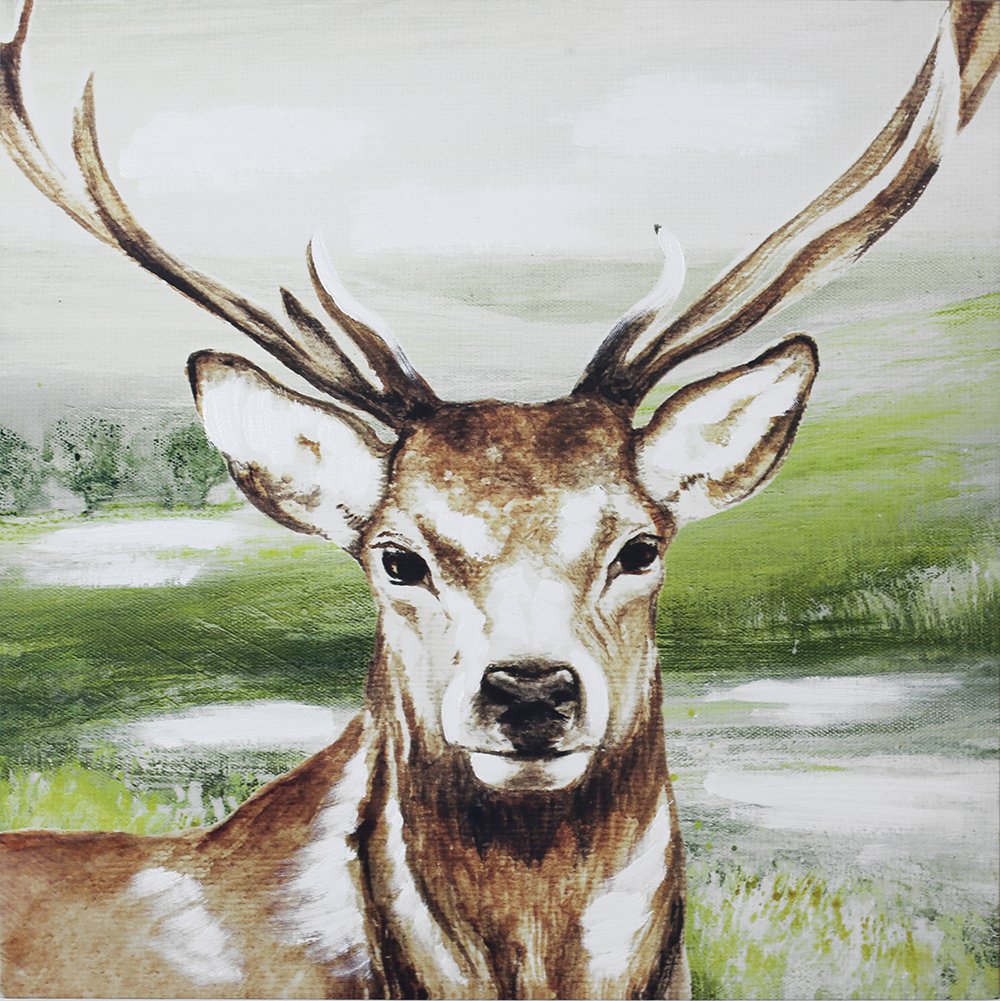 Collection Stag Hand Painted Canvas review