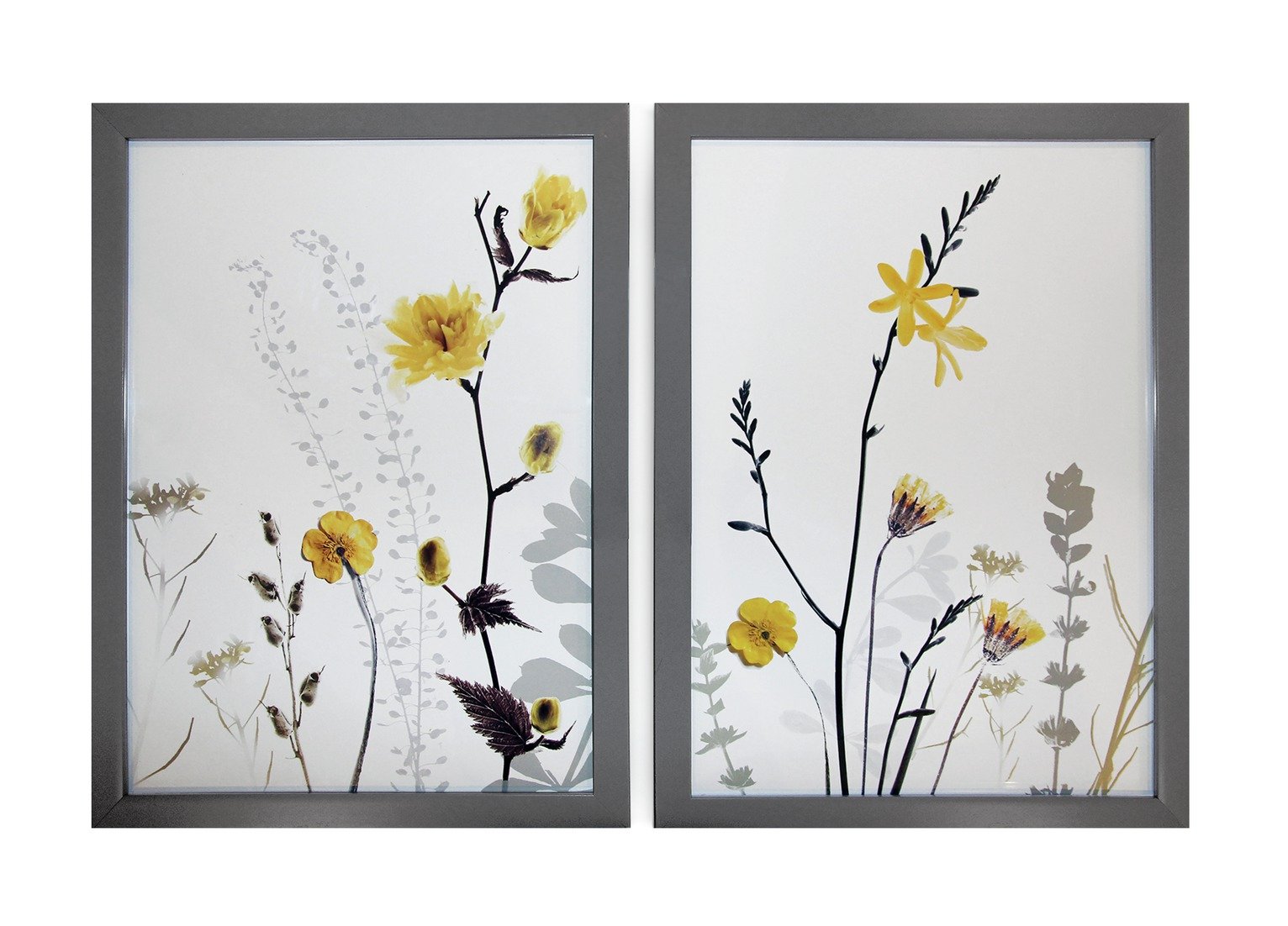 Collection Set of 2 Floral Framed Prints Review