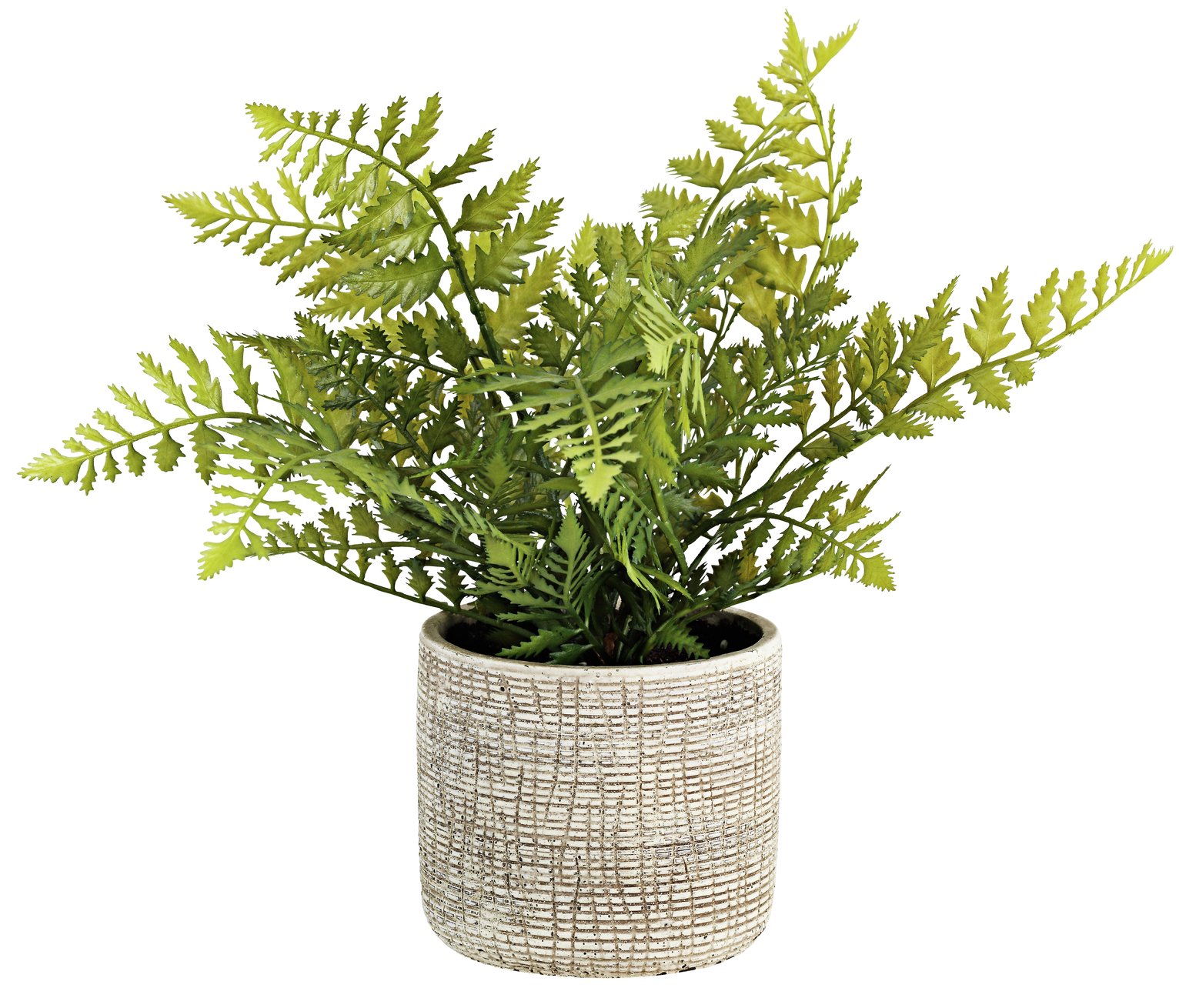 Argos Home Rural Retreat Artificial Fern House Plant Review Reviews