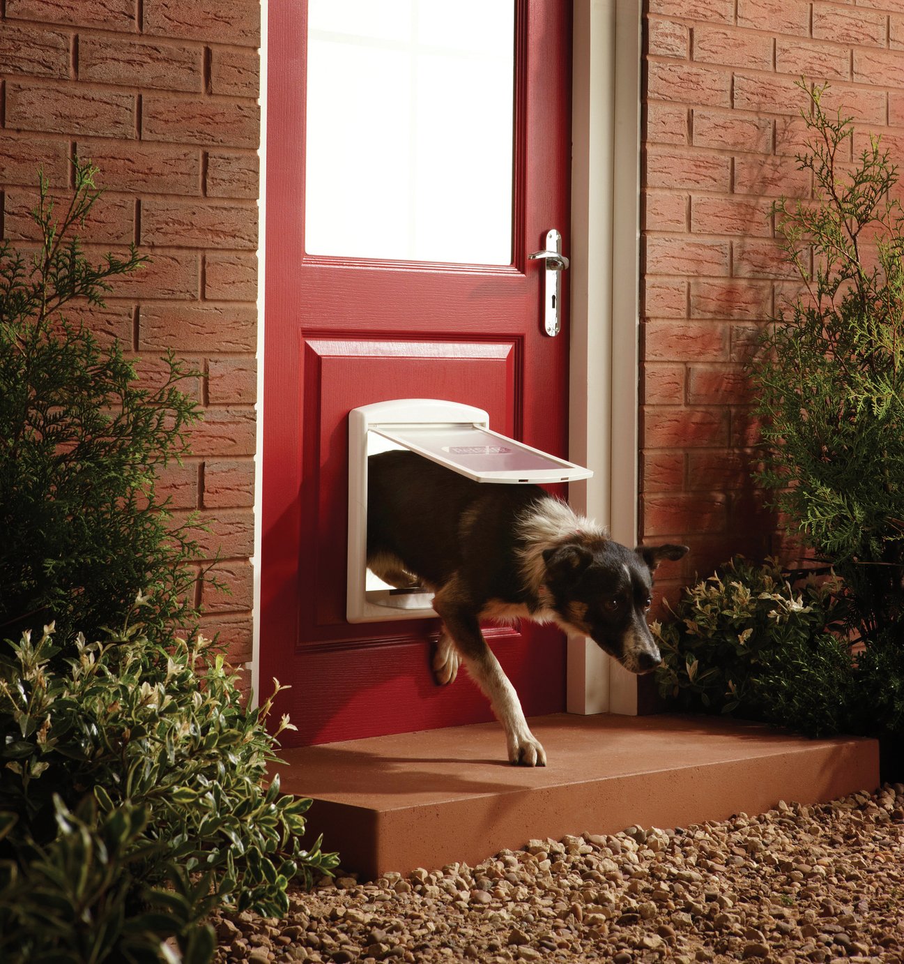 Buy Staywell Medium Pet Door at Argos.co.uk Your Online Shop for Pet