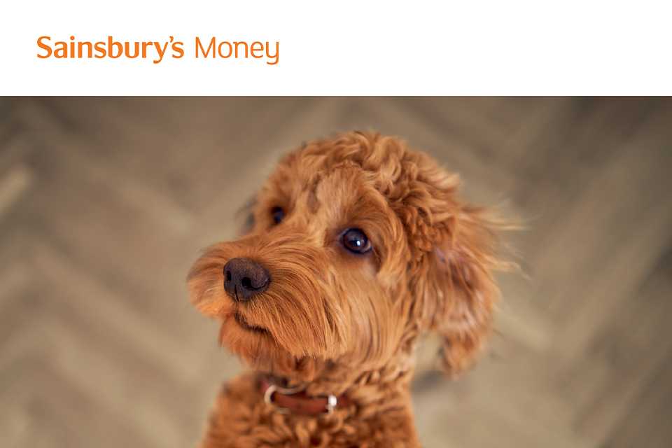 Sainsbury's money pet insurance.