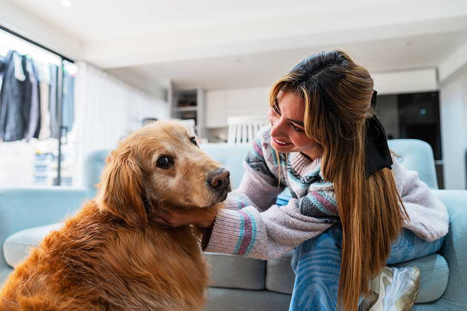 Should I get a dog?.