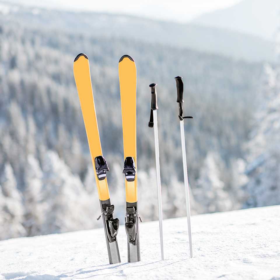 Winter sports cover