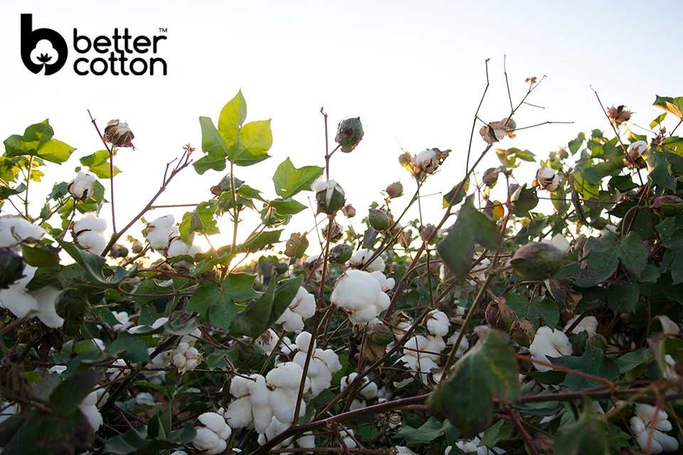 Better Cotton Initiative.