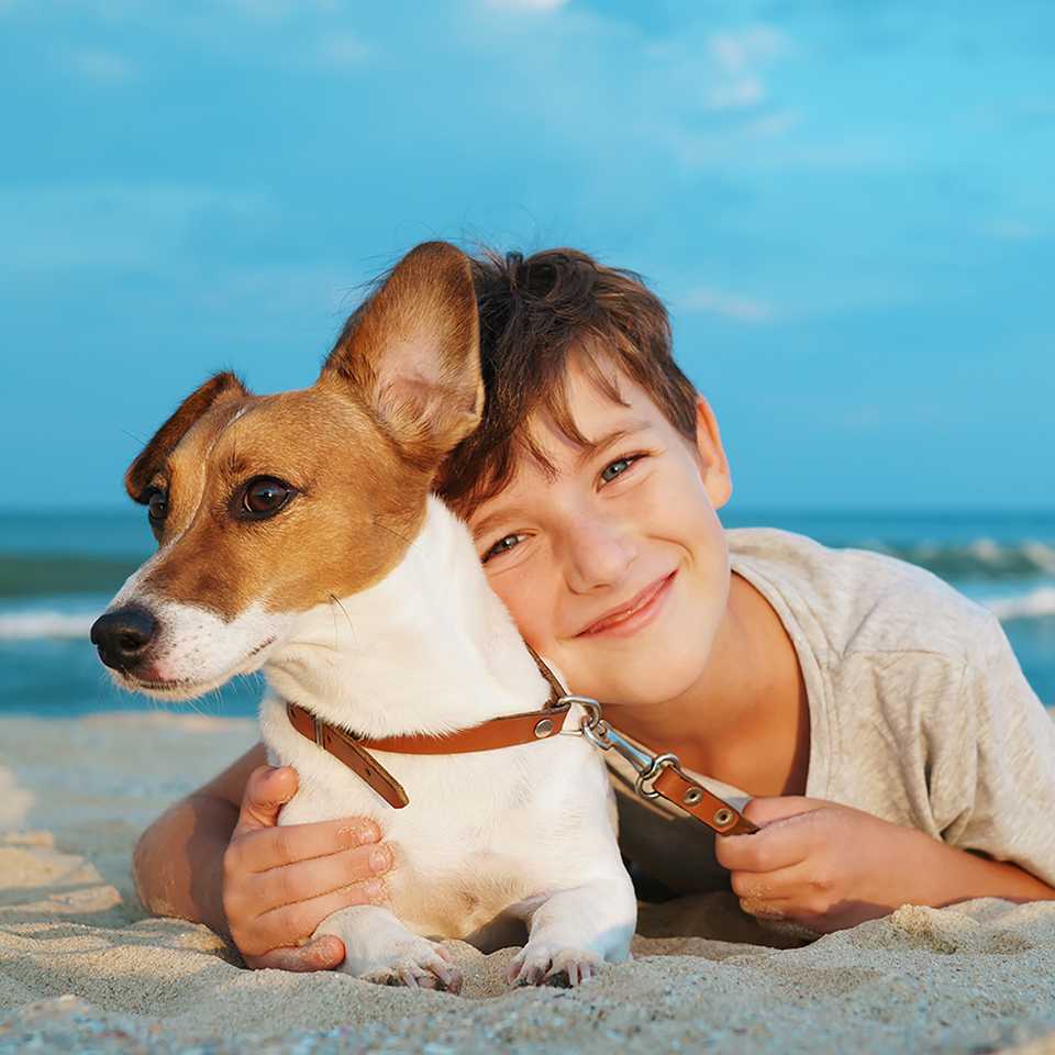 boy and dog on beach