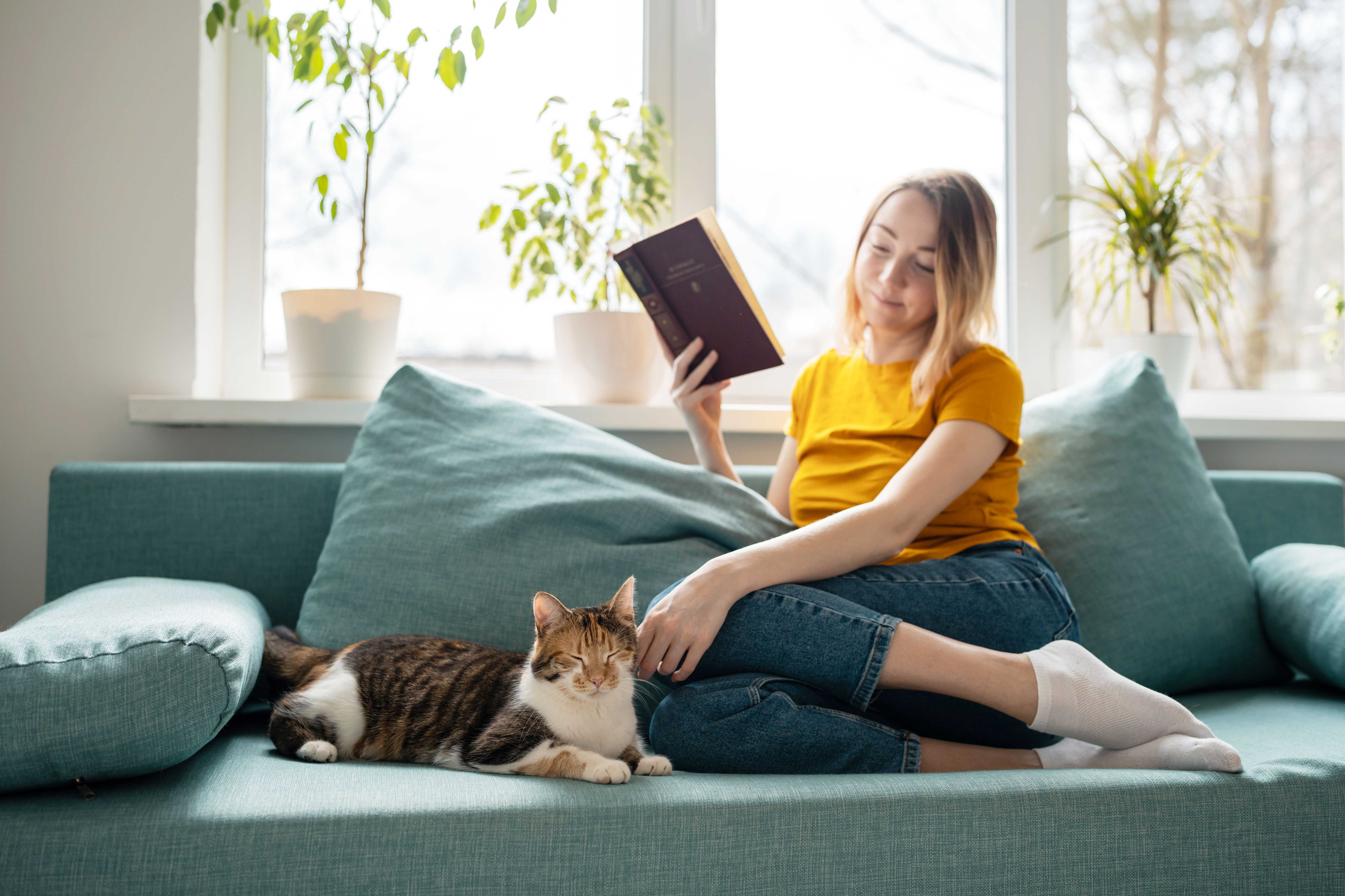 Sitting on the sofa reading with a cat
