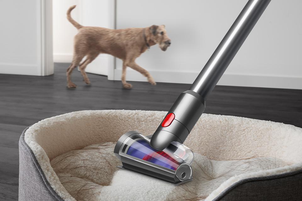 Dyson's hair screw tool picking pet hair from dog bed, and a dog in the background.