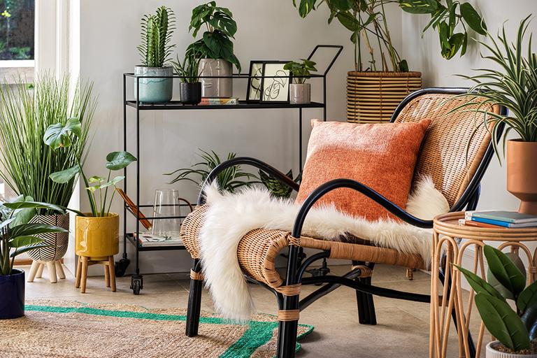 A nature-themed home interior with a chair, indoor pots and planters.