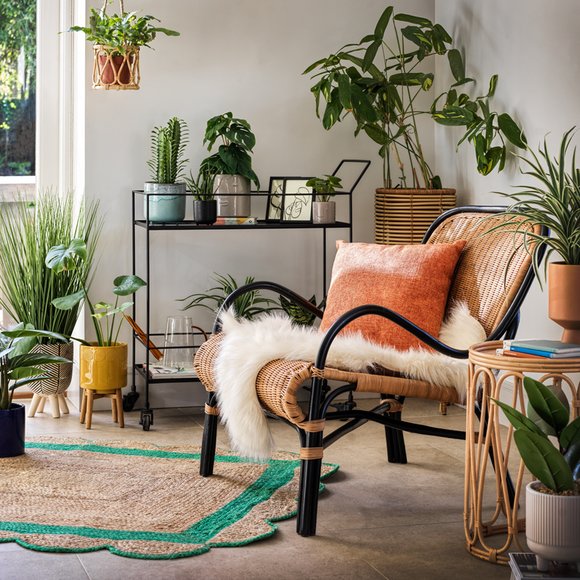 Create the perfect summer vibe using plants.