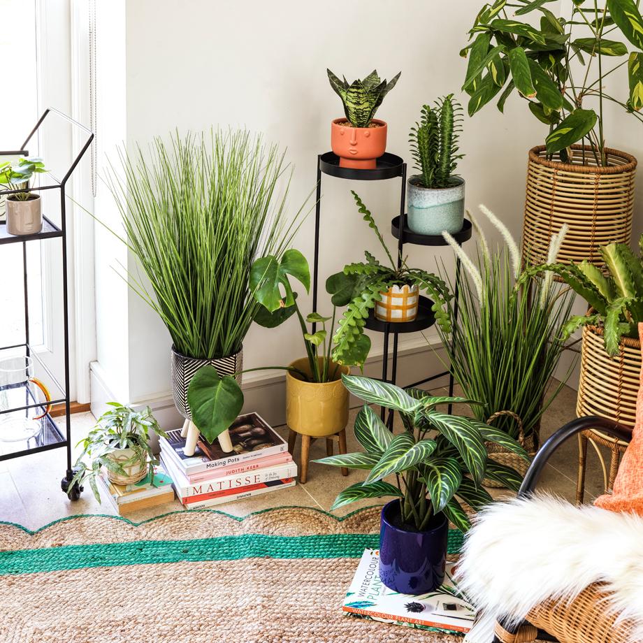 Create the perfect summer vibe using plants.