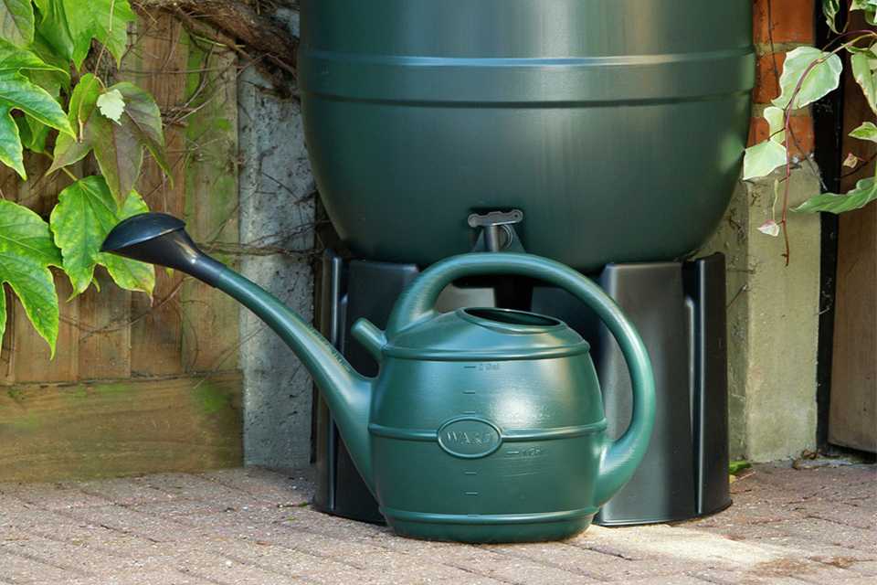 A 10l green ward watering can placed outdoors.
