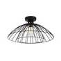 Black & grey colour lights.