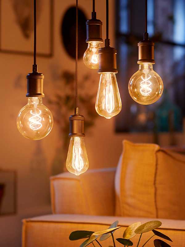 Don't forget your lightbulbs.