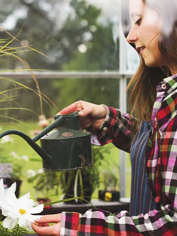 Greenhouse guide. Best greenhouses for new and seasoned gardeners. Shop now.