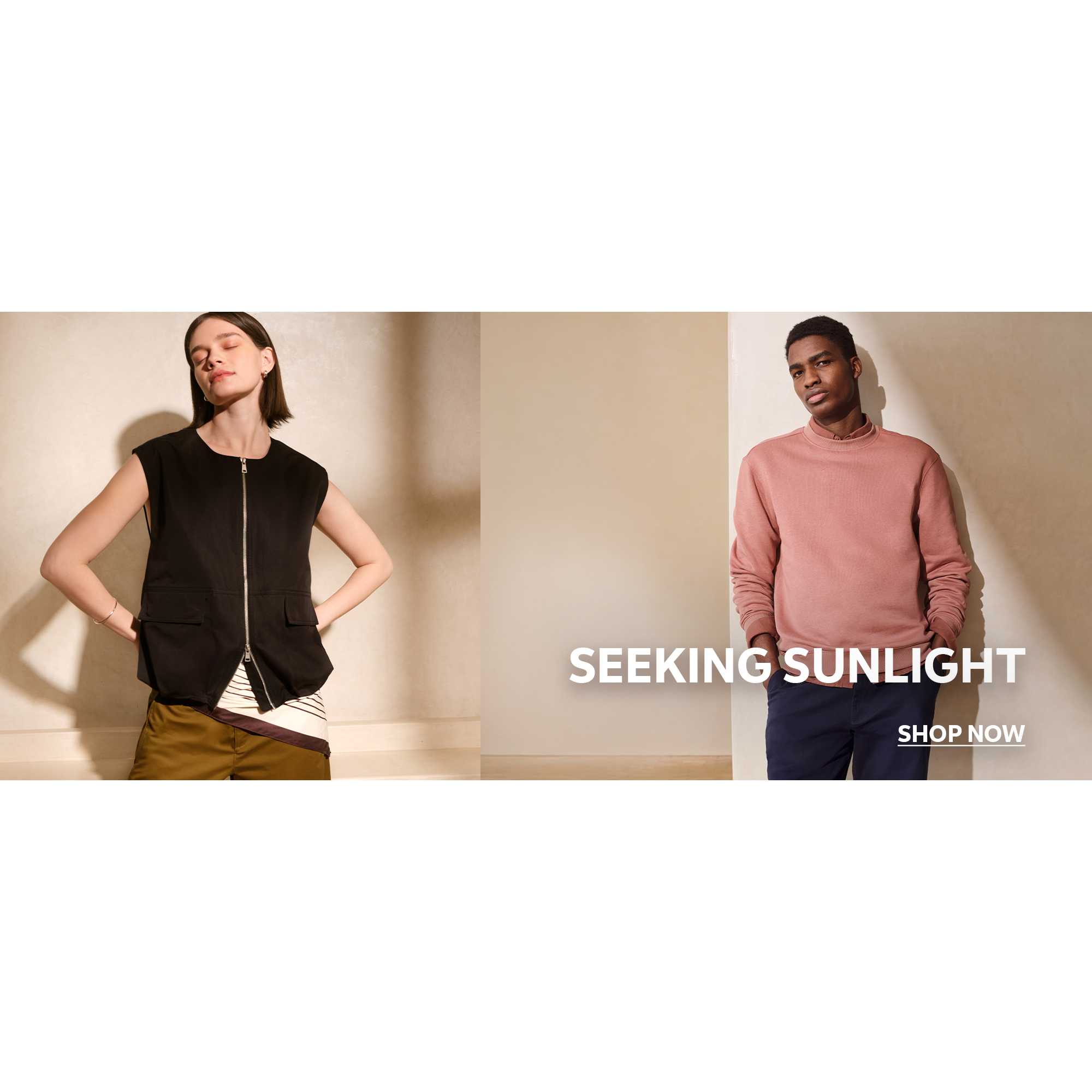 Seeking sunlight. Shop now.