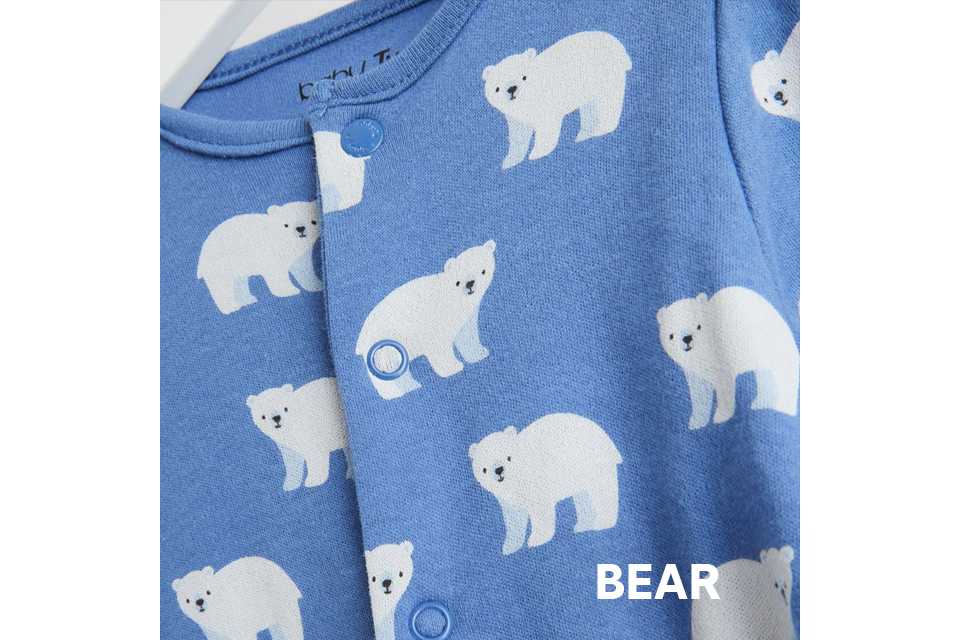 Bear.