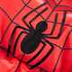 Spiderman.