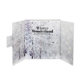 Technic Winter Wonderland 24 Day Luxury Advent Calendar