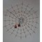 Premier Decorations 80cm LED Spider Web