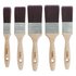 Coral Aspire Paint BrushSet of 5
