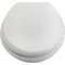 Argos Home Solid Wood Slow Close Toilet Seat - White Washed