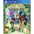 Ni No Kuni: Wrath of the White Witch PS4 Game