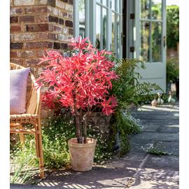 Garden by Sainsbury's Artificial Acer Tree