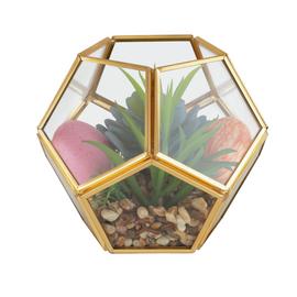Terrarium
