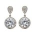 Sterling Silver Cubic Zirconia Round Drop Earrings