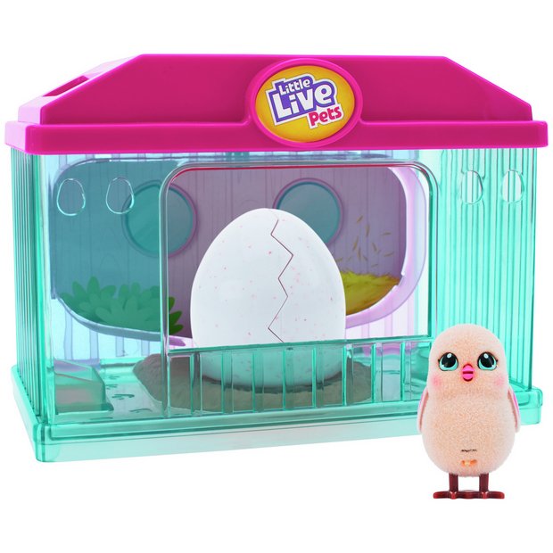 Hamster store toys argos