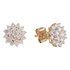 Revere 9ct Gold 0.50ct tw Diamond Cluster Stud Earrings