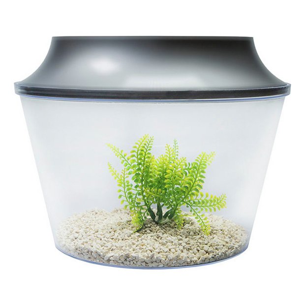 Buy Gussie Starter Kit at Argos.co.uk Your Online Shop for Fish tanks