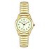 Limit Ladies' Gold Plated Glow Dial Expander Watch