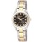 Citizen Ladies' Eco-Drive Black Dial Two Tone Watch