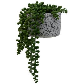 Argos Home Trailing House Plant in Terrazzo Pot