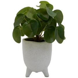 Habitat Artificial Faux Floral Small Money Plant