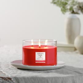 Natures Wick Large Multi Wick Candle - Redberry & Nutmeg