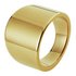 Inara Gold Plated Graduated Ring