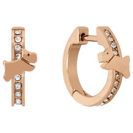 Radley 18ct Rose Gold Plated Huggie Hoop Earrings