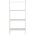 Collection Ladder Storage Unit