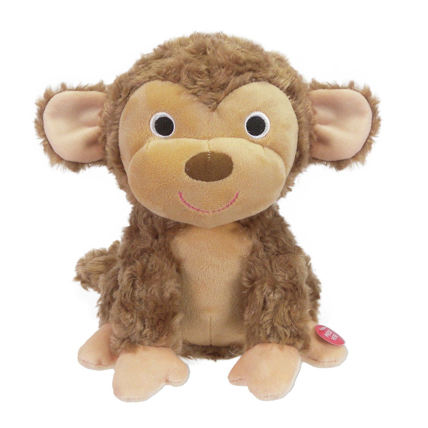 teddy bear that records your voice