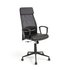 Argos Home Omari Mesh Ergonomic Office Chair - Black