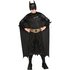 Flat Chest Batman Dark Knight Costume Medium